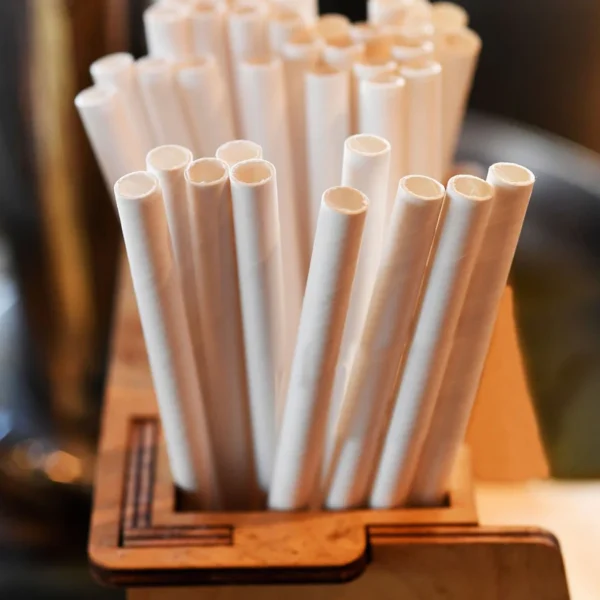 Paper Straws