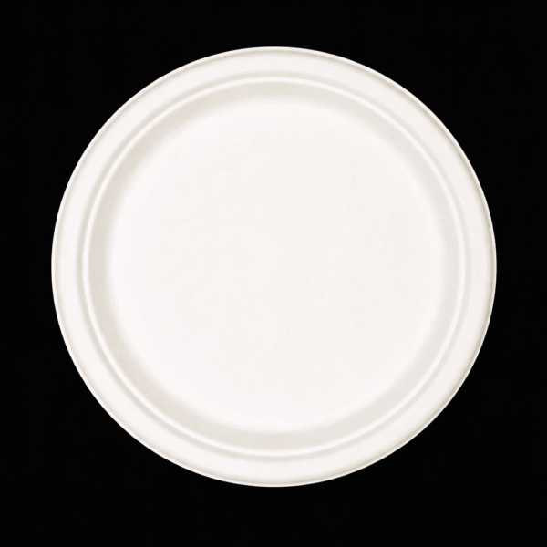 Sugarcane Plate 10" round - 500pcs