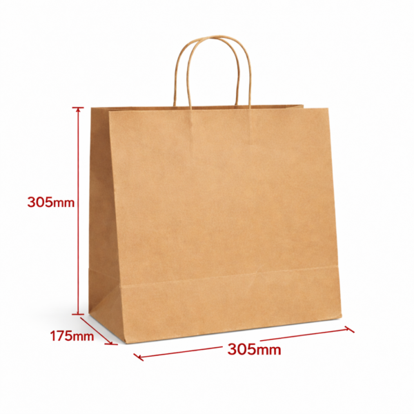 Medium Paper Carry Bags Twist Handle (250pcs)
