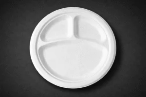 Sugarcane Plate 10" round - 3 Compartment - 500pcs