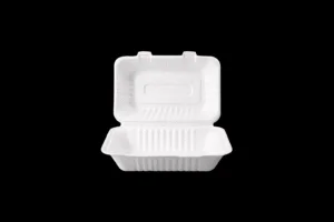 Sugarcane Clamshell 9*6 Snack Box Clamshell - 200pcs