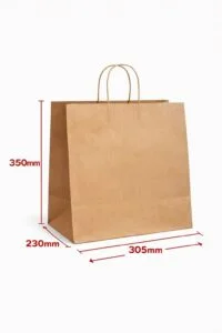 Large Paper Carry Bags Twist Handle (250pcs)