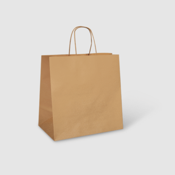 Paper Carrying Bags